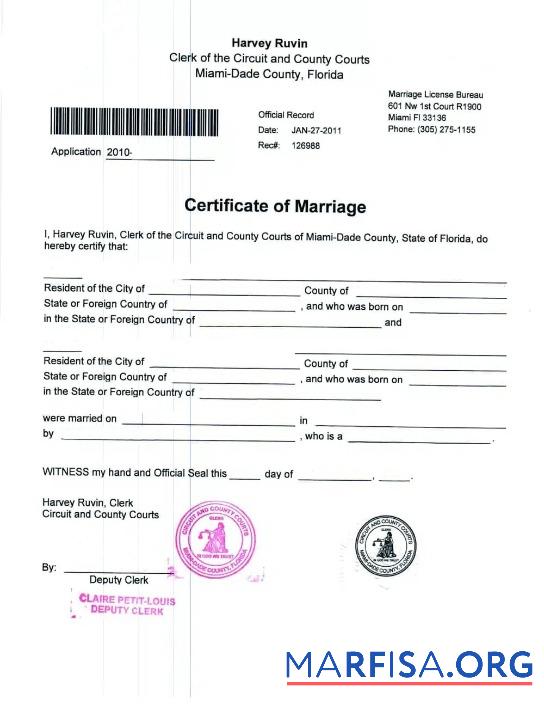 Realistic USA Circuit and county courts of Florida marriage certificate example